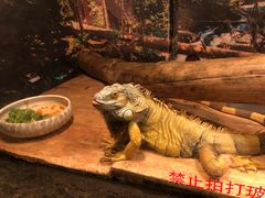 -多彩贵州城极地海洋世界