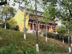 -游子山休闲旅游区