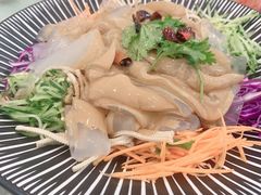 东北拉皮-普天和酒楼·新津菜·烤鸭(天津之眼店)