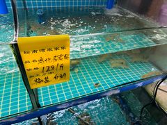 -坛南湾阿强农家乐.海鲜大排档老字号(福州地标美食店)