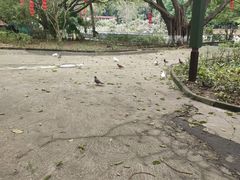 -三水森林公园