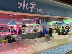 -科巷菜场