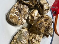 -杨氏青龙虾·羊蝎子(托乐嘉店)