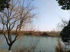 -羊山湖公园