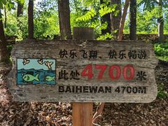 -白河湾生态旅游一条川
