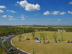 -春花秋色城市公园