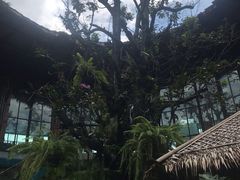 -The Ring Pavilion 魔幻森林