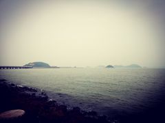 -港珠澳大桥码头