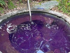 -碧桂园润杨溪谷温泉酒店