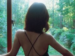 -合肥滨湖国家森林公园