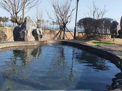 -青岛海泉湾度假区温泉