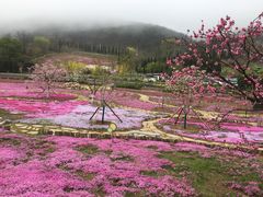 -棒棰岛宾馆景区