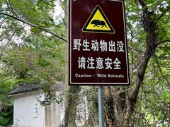 -紫金山山顶公园