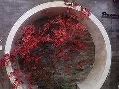 -金狮麟·新豫菜(金码大厦店)
