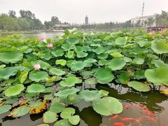 -西海子公园