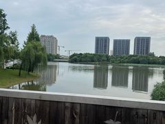 -南翔镇银翔湖公园