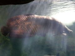 android_upload_pic-南昌海洋公园