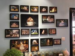 -藦茜花园宠物主题亲子互动体验馆(国顺东路店)