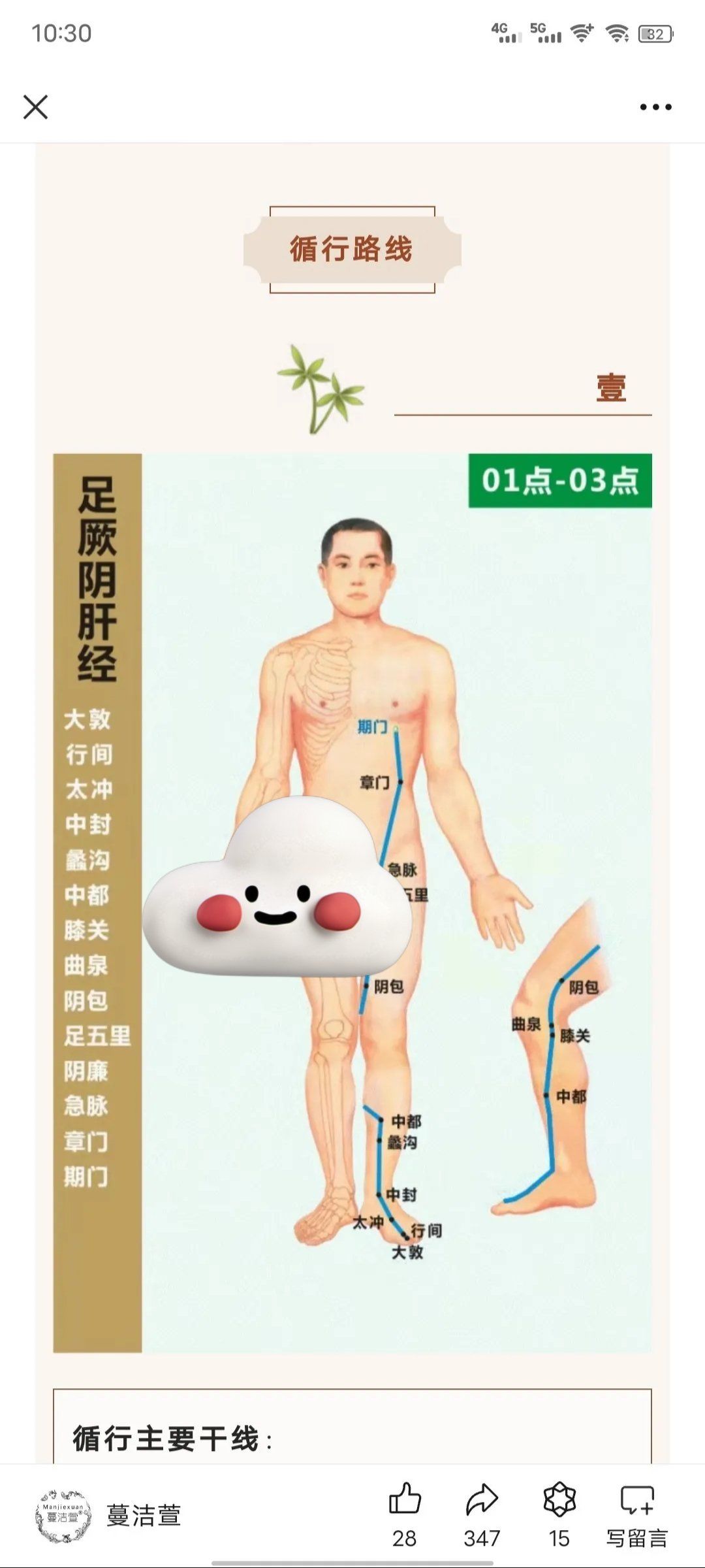 十二经络之足厥阴肝经
