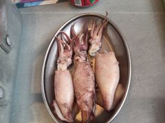-济扶岛韩国海鲜汤제부도 해물탕(望京店)