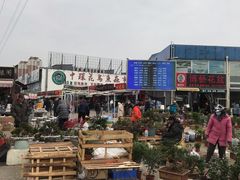 -中环花鸟鱼虫市场