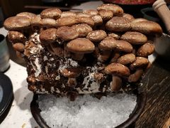 现摘松香菇-火鳳祥美蛙牛肉自助(青悦城店)