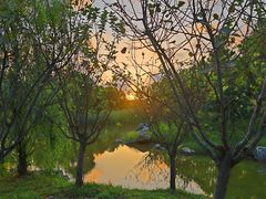 -春花秋色城市公园