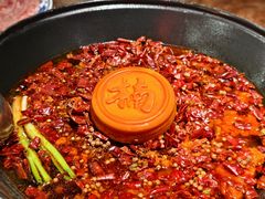 冷锅血旺-楠火锅(西单店)