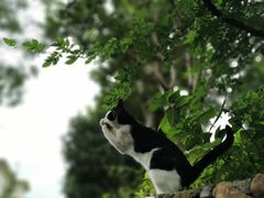 -杭州六谷生态休闲农庄有限公司