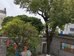 -碧江金楼