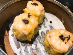 -糖朝(尖沙咀店)