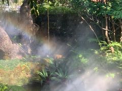 -Chom Cafe and Restaurant