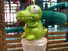 -南宫温泉水世界