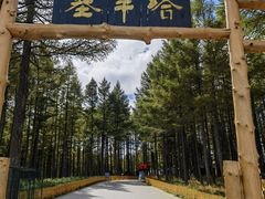 -塞罕坝国家级自然保护区