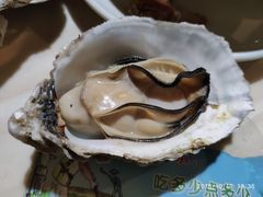 -九道菜有鸡鱼头(石鼓路店)
