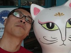 -猫咪博物馆(顶澳仔猫街店)