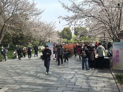 -堤角公园