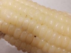 -全家便利店(署前路三店)