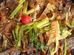 -老板恋上鱼(恒隆广场店)