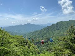 -朱雀国家森林公园