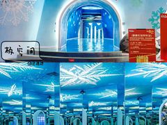 -海合安青岛极地海洋公园