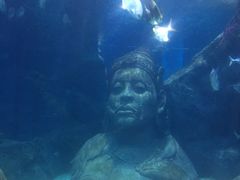 -暹罗海洋世界