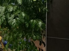 -李先生牛肉面大王(昌平鼓楼店)