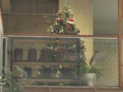 -有序Orderly融合西餐·咖啡(运河外滩店)