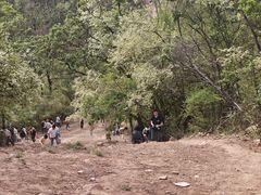 -青龙山国家森林公园