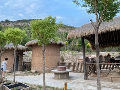 -五龙城郊森林公园