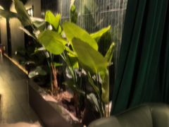 -涟LIAN·泰式按摩·MASSAGE·SPA(华强北店)