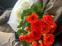 -河南省体育场馆中心游泳馆