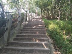 -梧桐山风景名胜区