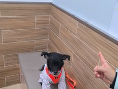 -爱侣宠医·鹦鹉专科·小型哺乳类·异宠专科(灵石路店)